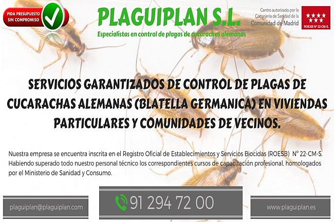 Especialistas en control de plagas cucarachas alemanas 