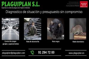 Control y Eliminación de Ratas en garajes - Plaguiplan