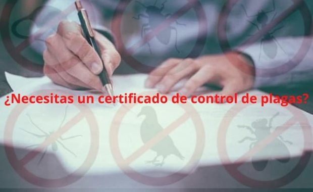 certificado de control de plagas