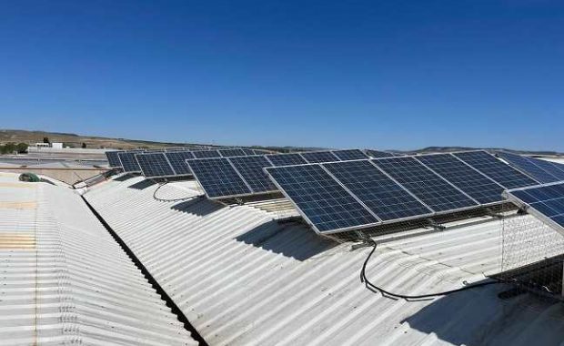 control-de-palomas-en-naves-industriales