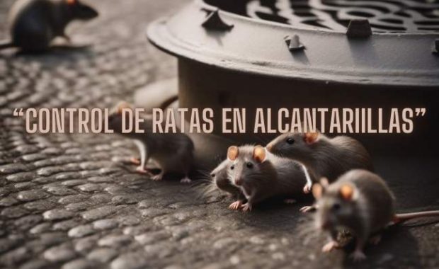 control-ratas-alcantarillas