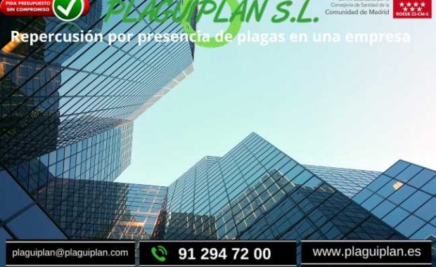 repercusion-por-plagas-en-una-empresa