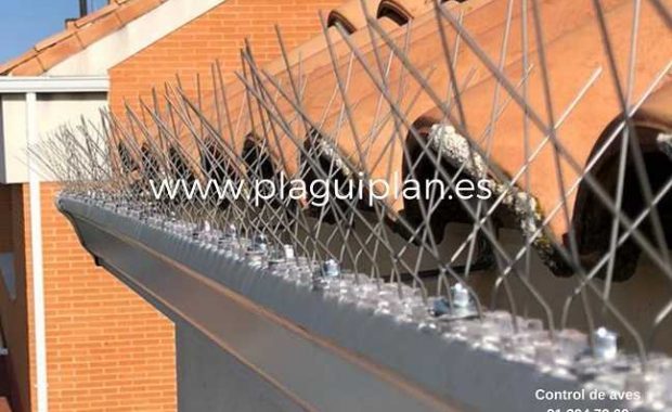 pinchos-antipalomas-en-canalones