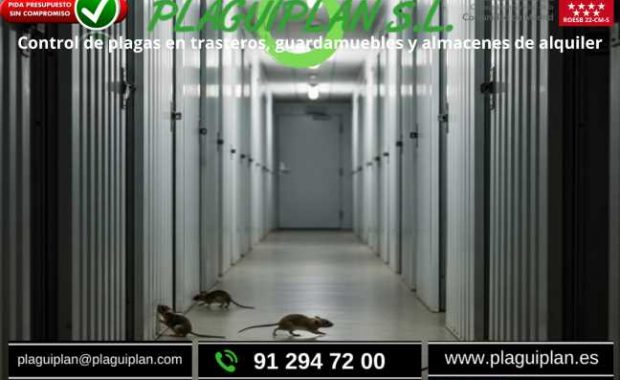 control-de-plagas-en-trasteros-y-guardamuebles
